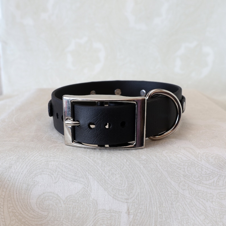 May include: Black rubber dog collar with a silver buckle and D-ring.