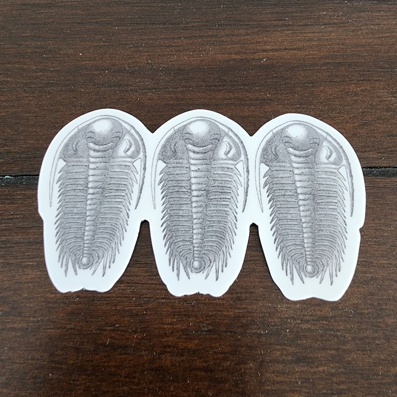 Exticnt Sticker Trilobite Sticker, Trilobites Vinyl Decal, Geology Gift, Geologist ...