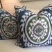 see more listings in the Blue/Aqua pillow covers section