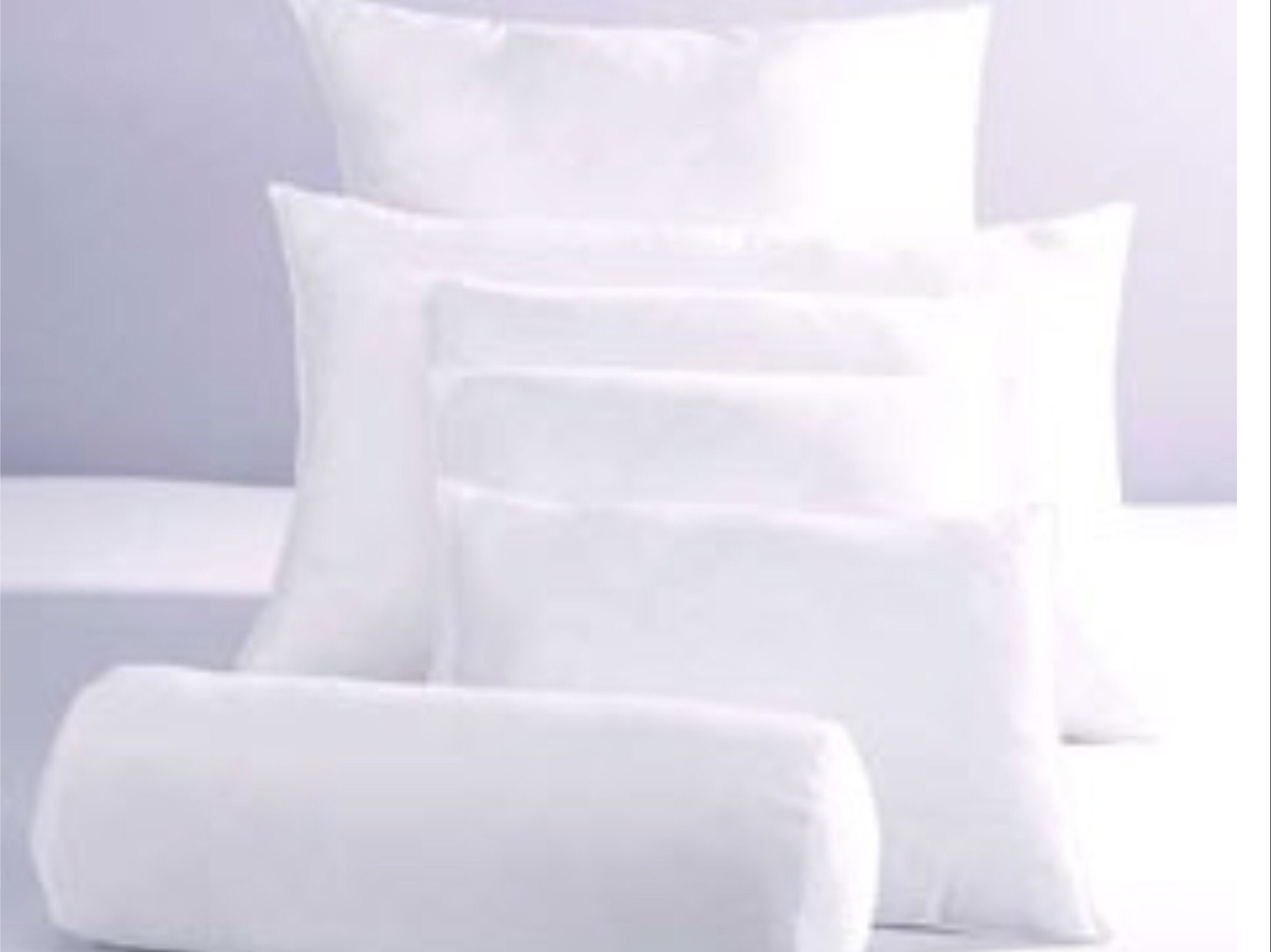 30 x 30 50/50 Down Feather Pillow Form - PillowCubes