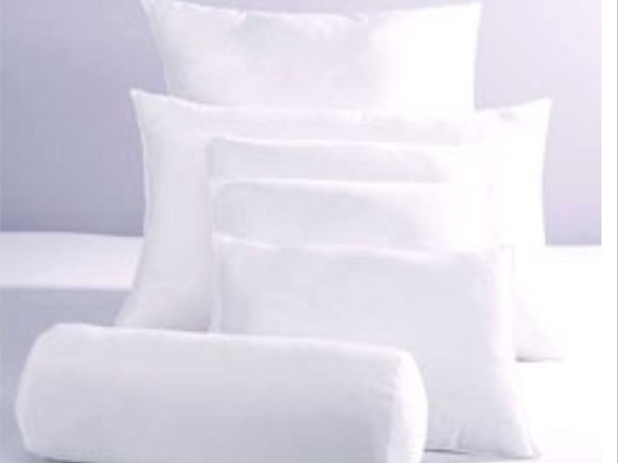 Tiwari Home White Surya Pillow Insert- Polyester Filler 30 x 12
