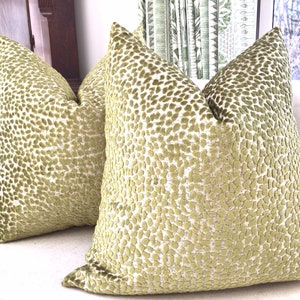 Raised Velvet "Jelly Bellies" in Olive Pillow Cover