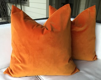 Orange Sherbert Velvet-Front and Back covers