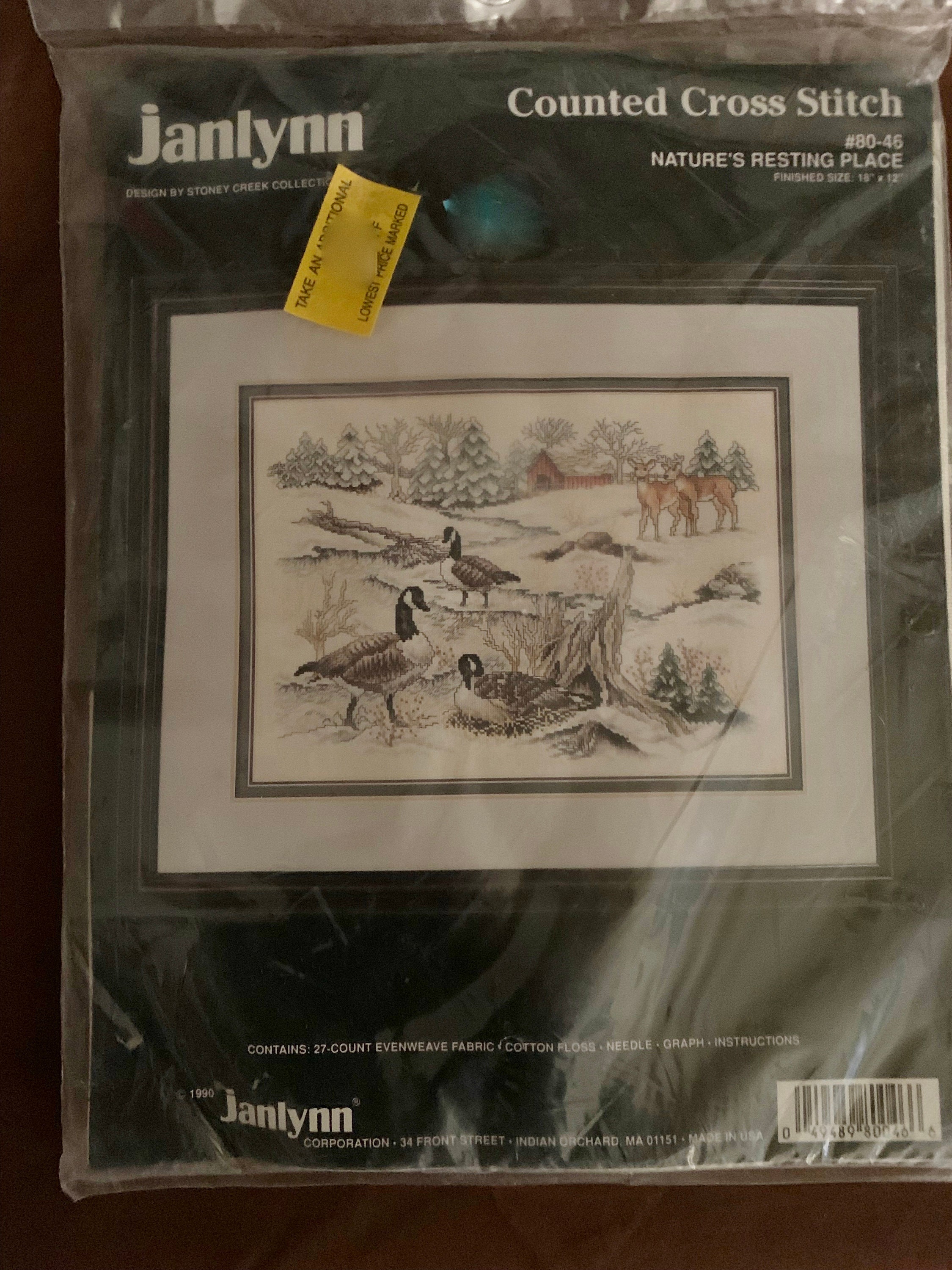 Janlynn Counted Cross Stitch Kit Mythical Dragon 11 X 15 NEW USA In 4  Languages