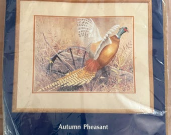 Kit de bordado Crewel Simplicity Stitchery Needle Craft FAISÁN DE OTOÑO 14"x11"