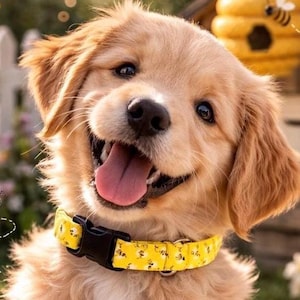 The 'Busy Bees' Bumblebee Dog Collar, Bee Dog Collar, Yellow Cotton Pet Collar, Bees Dog Summer Collar, Bees Cat Collar, Puppy Collar Summer