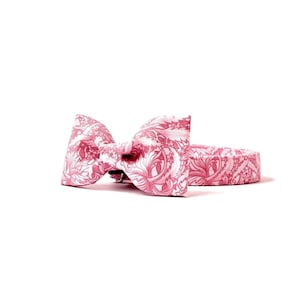 Collar de perro, collar de gato, collar con lazo, pajarita, collar de perro rosa, collar de gato de primavera, conjunto de collar de niña, pajarita de niña, conjunto de collar con lazo a juego