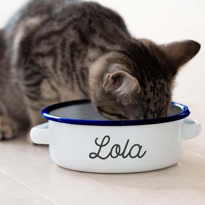 A cat eating out of a personalized bowl