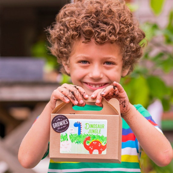 Dinosaur Jungle Cress Seed Kit for Kids Birthday Parties Kids