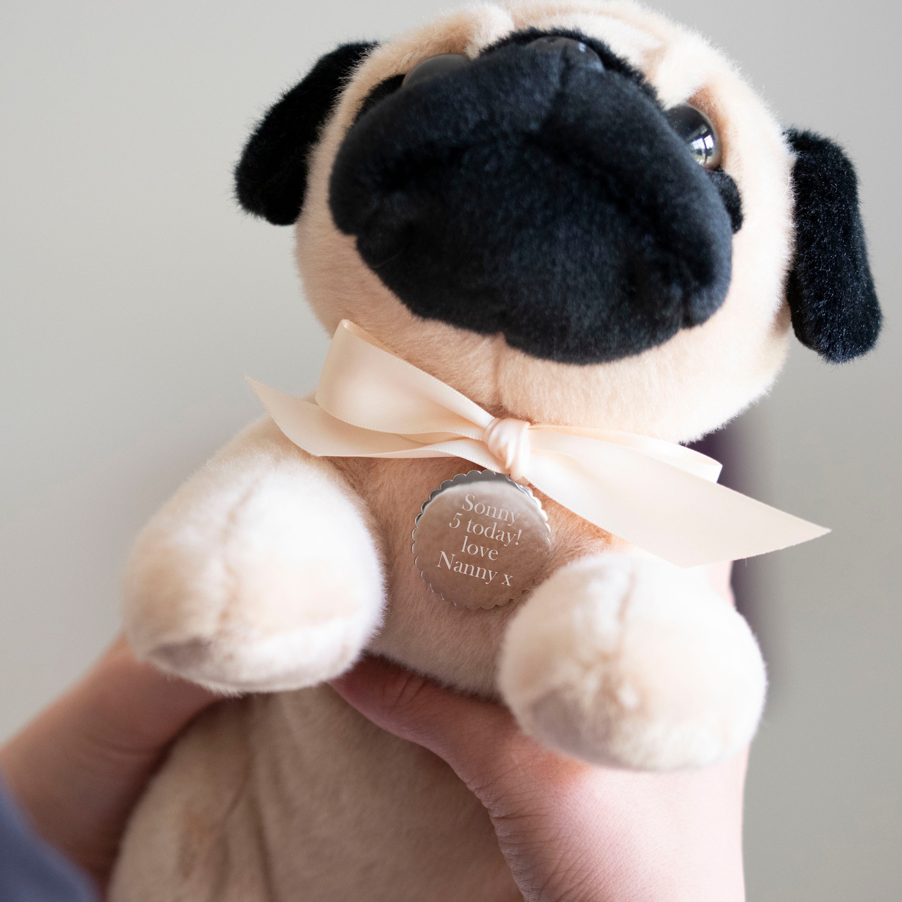 personalised pug teddy
