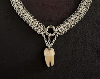 Chainmail Necklace: Stainless Steel Vertebrae with Tooth Sculpture