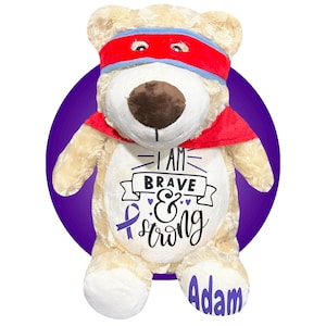 Childhood Cancer Gifts - Personalized Cancer Teddy Bear, Different Colors Available, Cancer Awareness Gift, Get Well Soon, Leukemia Presents Purple
