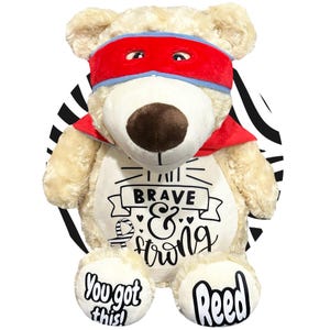 Childhood Cancer Gifts - Personalized Cancer Teddy Bear, Different Colors Available, Cancer Awareness Gift, Get Well Soon, Leukemia Presents Zebra Scheme