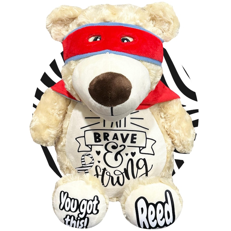 Childhood Cancer Gifts - Personalized Cancer Teddy Bear, Different Colors Available, Cancer Awareness Gift, Get Well Soon, Leukemia Presents Zebra Scheme