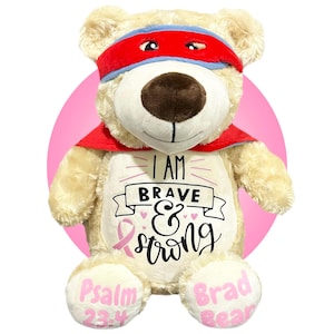 Childhood Cancer Gifts - Personalized Cancer Teddy Bear, Different Colors Available, Cancer Awareness Gift, Get Well Soon, Leukemia Presents Pink