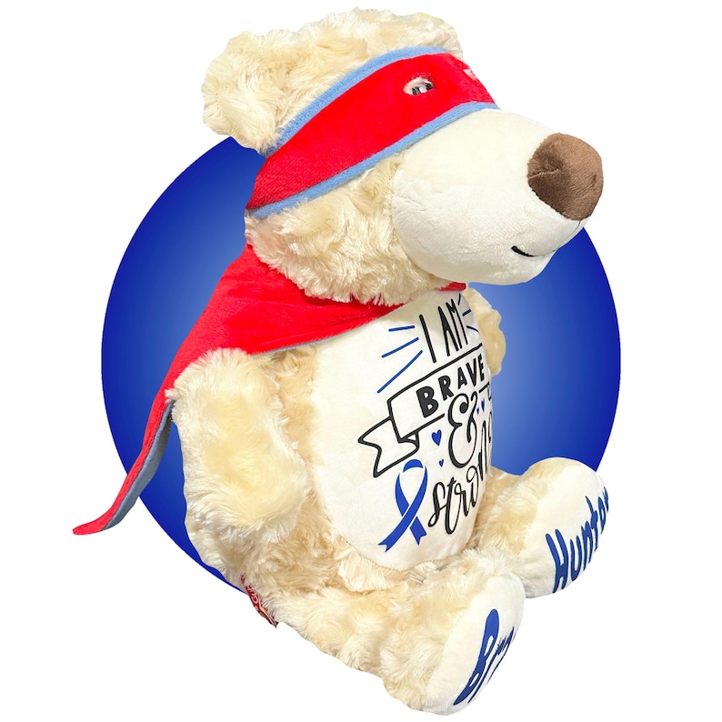 Childhood Cancer Gifts - Personalized Cancer Teddy Bear, Different Colors Available, Cancer Awareness Gift, Get Well Soon, Leukemia Presents Blue