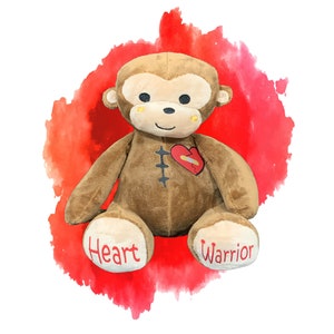 Heart Surgery Gifts for Kids - Gifts for Heart Warrior - Gift Wrapped - Baby Heart Surgery Gift - Scar Buddy Open Heart Surgery - 1 in 100