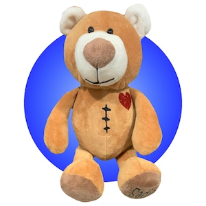 Heart Surgery Gifts - Personalized Heart Surgery Teddy Bear - Heart Anniversary Gifts - Heart Mama Gifts - Gifts for Heart Warriors - CHD