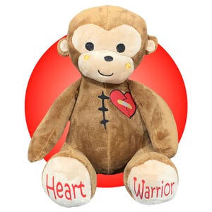 Herz-Chirurgie-Geschenke für Kinder - Geschenke für Heart warrior - Geschenk verpackt - Baby-Herz-Chirurgie-Geschenk - Narbe-Kumpel-Chirurgie am offenen Herzen - 1 in 100