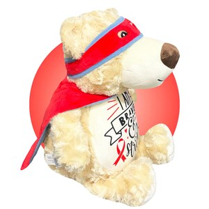 Childhood Cancer Gifts - Personalized Cancer Teddy Bear, Different Colors Available, Cancer Awareness Gift, Get Well Soon, Leukemia Presents image 6