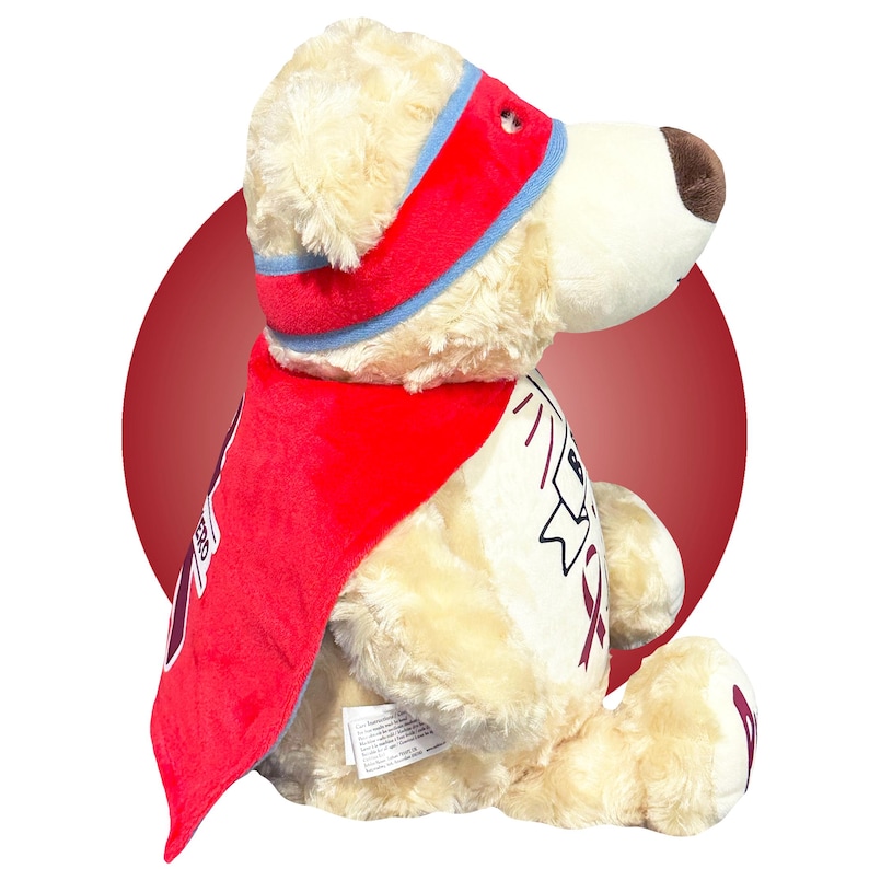 Childhood Cancer Gifts - Personalized Cancer Teddy Bear, Different Colors Available, Cancer Awareness Gift, Get Well Soon, Leukemia Presents image 13