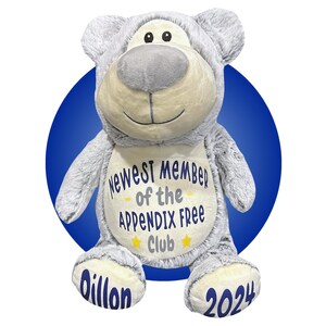 Appendectomy Recovery Gift - Personalized 17" Appendix Teddy Bear - Appendix Surgery Recovery - Gift for Kid Getting Appendix Removed