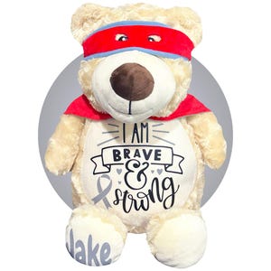 Childhood Cancer Gifts - Personalized Cancer Teddy Bear, Different Colors Available, Cancer Awareness Gift, Get Well Soon, Leukemia Presents Grey