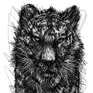 Pittura a inchiostro TIGER - POSTER - varie dimensioni disponibili! illustrazione di stampa artistica disegno in bianco e nero felino tigri grande gatto simile a una pantera felina