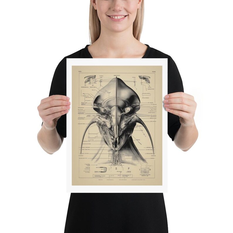 Alien Anatomy Diagram Poster, Steampunk UFO Art Print - Etsy Canada