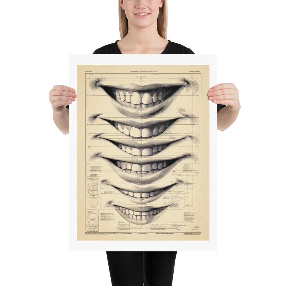 Snile Chart Vintage Smile Chart Anatomy Poster, Scientific Facial Study Print - Etsy