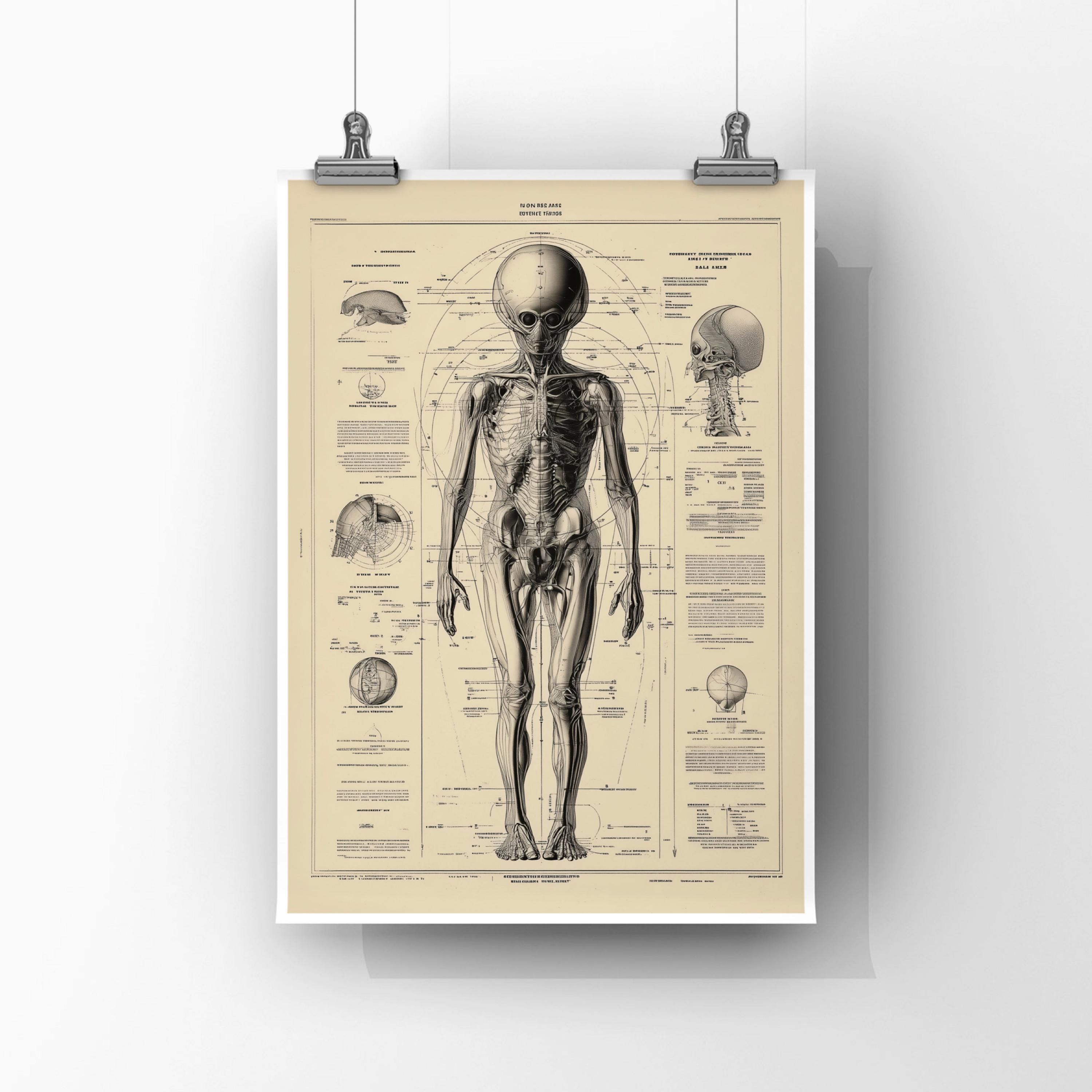 Futuristic Alien Anatomy Diagram Print | Extraterrestrial Wall Art ...