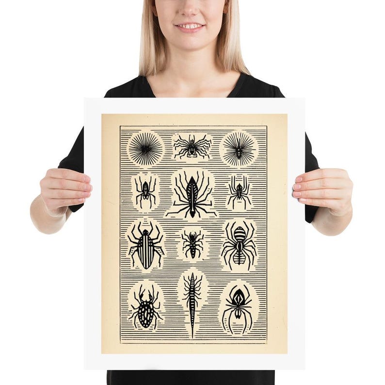 Ink Fantasy Spiders & Insects .4 , Posters, Poster Print, Wall Art ...