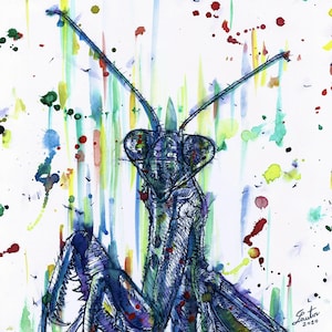 PRAYING MANTIS  - watercolor and ink painting - POSTER - various sizes available! art print drawing insect insects bug bugs illustration