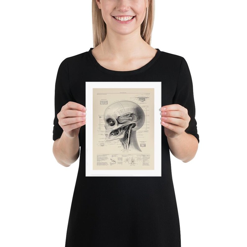 Alien Anatomy Diagram Poster, Steampunk UFO Art Print - Etsy