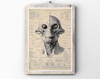 Poster di anatomia aliena / Stile progetto vintage (download digitale)
