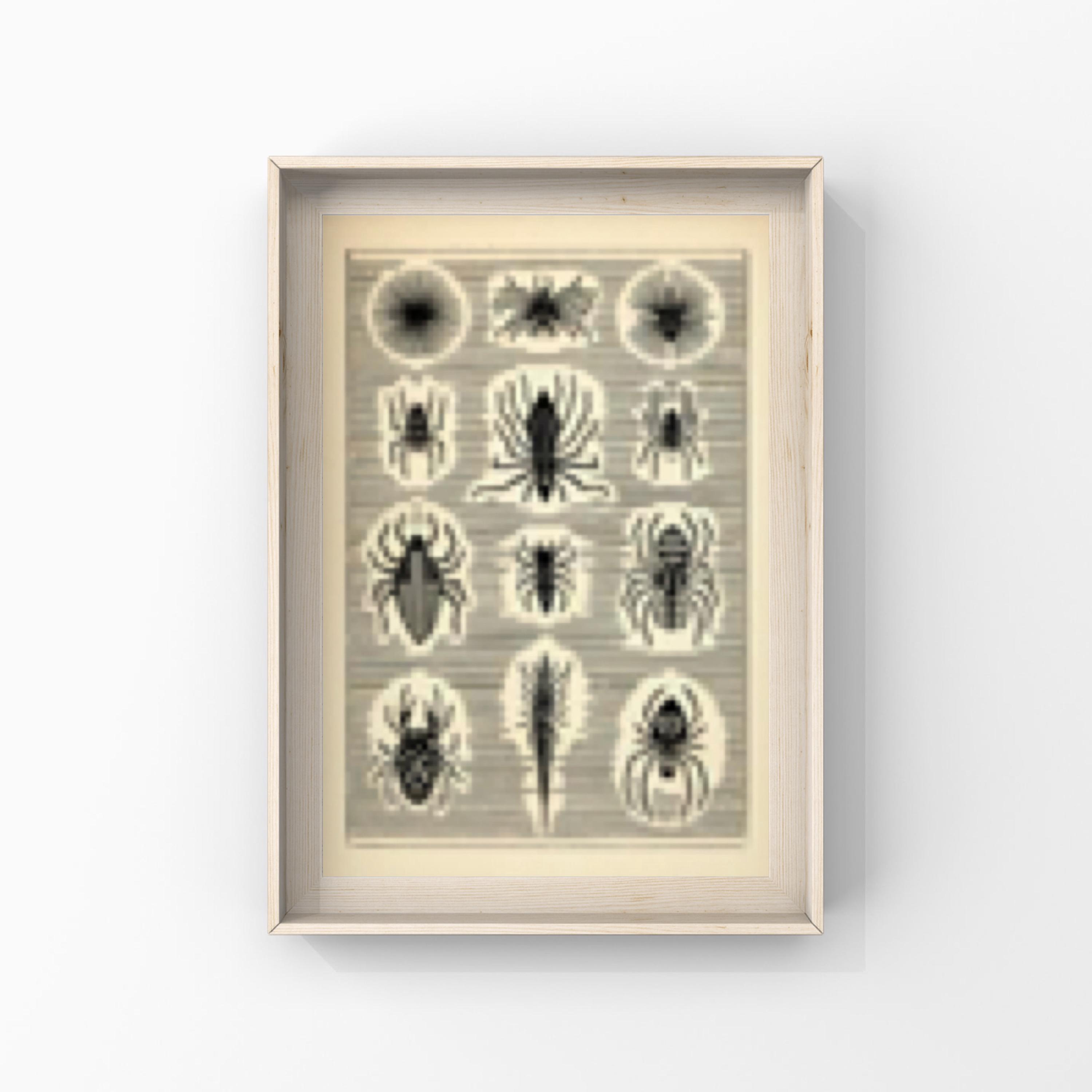 Fantasy Spiders and Insects Art Print – Vintage Style Entomology