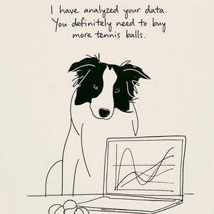He analizado tus datos. Definitivamente necesitas comprar más pelotas de tenis / Póster divertido de Border Collie / Descarga digital / Regalo para amantes de las mascotas