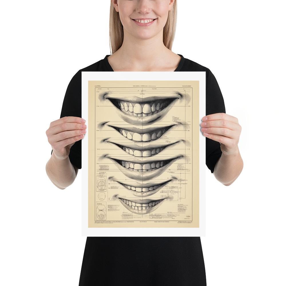 Snile Chart Vintage Smile Chart Anatomy Poster, Scientific Facial Study Print - Etsy