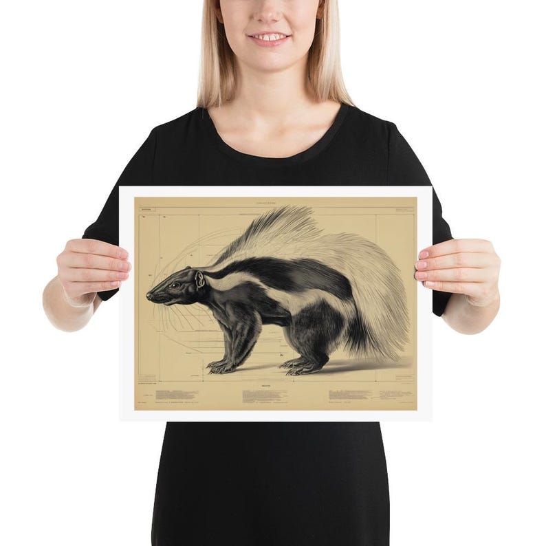 Vintage Skunk Anatomy Diagram Poster Print, Stylized Wildlife Wall Art ...
