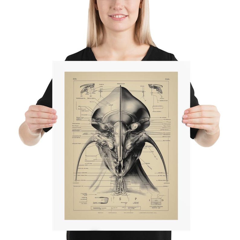 Alien Anatomy Diagram Poster, Steampunk UFO Art Print - Etsy Canada