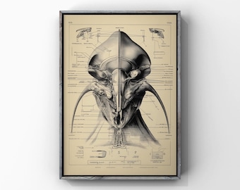 Diagramme d'anatomie extraterrestre impression | Morphologie détaillée, art mural de science-fiction (téléchargement numérique)