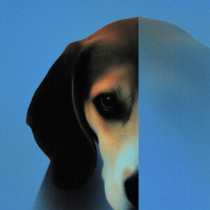 May include: A stylized illustration of a dog's face, featuring a black ear, brown fur, and a white and tan muzzle. The dog's eye is dark and focused. The background is a gradient of blue.