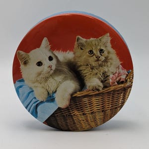 May include: Two kittens, one white and one brown, are sitting in a wicker basket. The basket is lined with a blue and white checked cloth. The kittens are looking at the camera. The background is a red and blue circle.