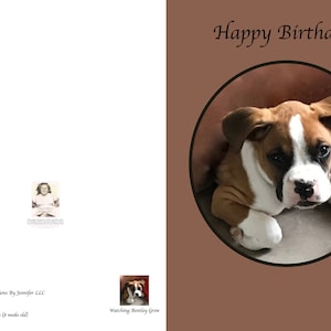 Sagen Sie, dass besondere Person Happy Birthday, mit dieser niedlichen Bentley Karte wird es ihr Herz berühren. WBD 24 Geburtstag Bentley 8 Wochen alt