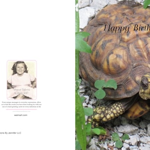 Esta tortuga ha venido a decir Feliz Cumpleaños a alguien especial. Tarjeta de felicitación de tortuga, Cumpleaños, Celebración, Todas las ocasiones,