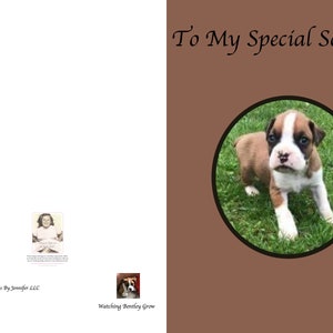Kijken Bentely groeien is mijn nieuwe serie kaarten, U zult hem willen delen met iemand speciale verjaardagskaart, huisdier kaart, hond kaart Puppy