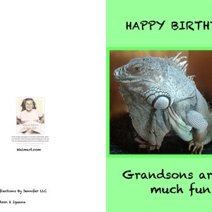Cumpleaños de nieto, Iguana, Feliz Cumpleaños, Ocasión, Ocasión Especial, Cumpleaños, Tarjetas de Felicitación,