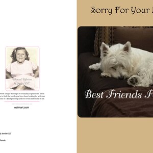 Lo sentimos por la pérdida de su perro, Todas las ocasiones, Tarjeta de felicitación, Tarjeta de simpatía, Tarjeta general, Lo siento por la pérdida de su mascota