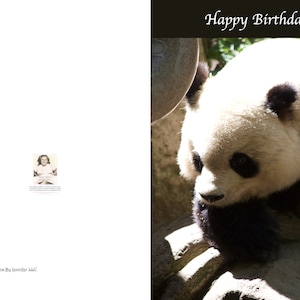 Cette carte d’anniversaire Panda Bear est destinée à tous les amoureux de Panda Bear, Partagez cette carte avec quelqu’un de spécial.