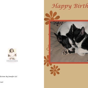 Diese niedliche Geburtstagskarte mit der schwarz-weißen Katze & Hund ist eine tolle Möglichkeit, jemandem alles Gute zum Geburtstag zu sagen.